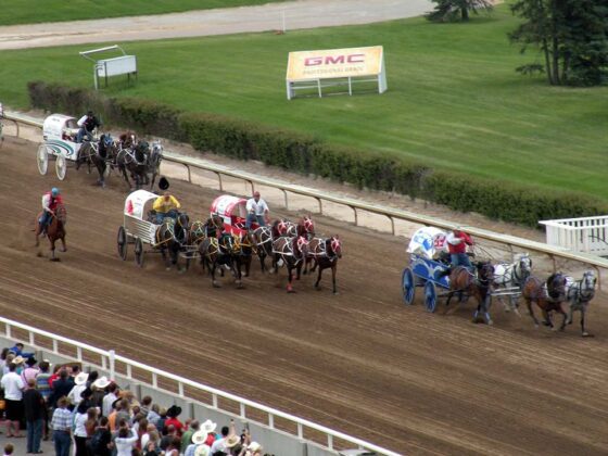 2023 Calgary Stampede Event Highlights